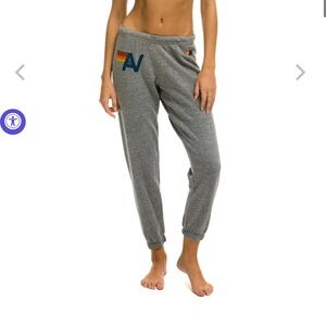Aviator Nation Gray Sweatpants